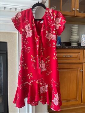 BB Dakota Red Floral Tie-Front Mini Dress